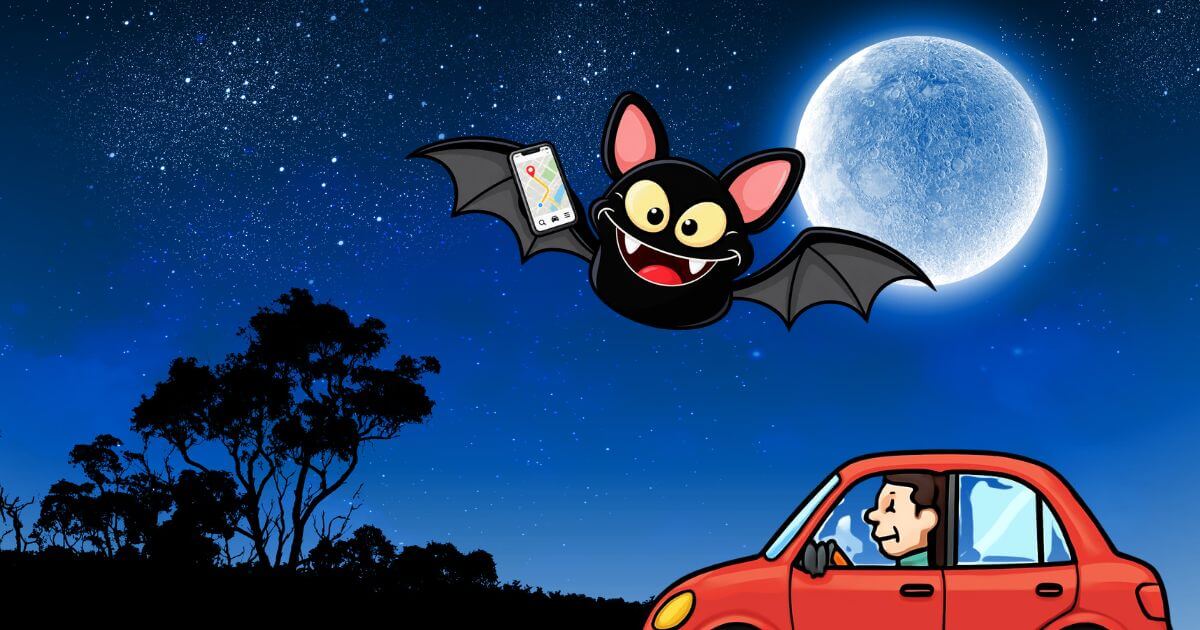 Dirigindo à noite